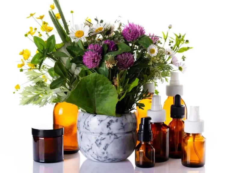 Plantes sauvages et flacons en contenant des extraits