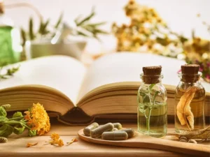 Préparation médicinale de plantes sauvages selon un livre de recettes