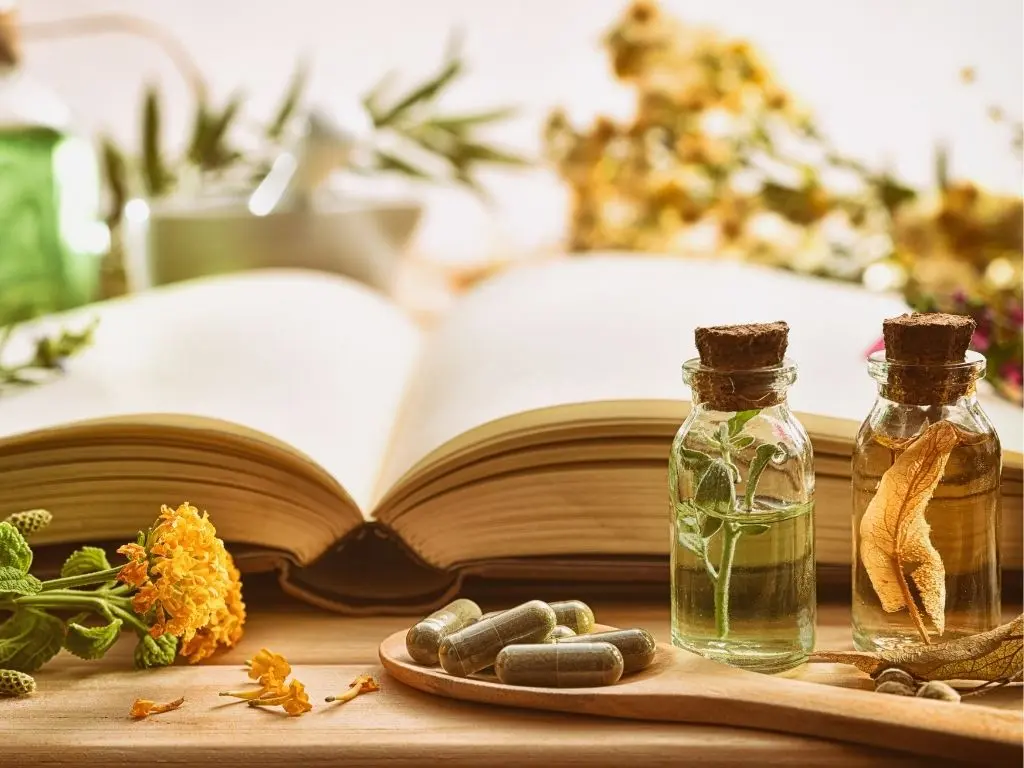 Préparation médicinale de plantes sauvages selon un livre de recettes